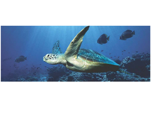 image - 北京博视科技有限公司